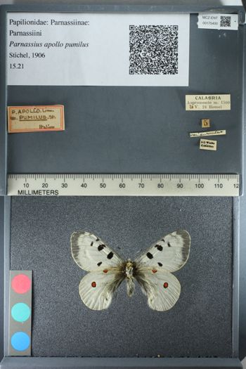 Media type: image;   Entomology 175400